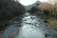 秋川渓谷の写真・動画_image_293978