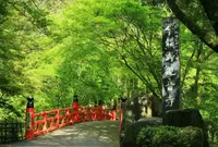 今熊野観音寺の写真・動画_image_313427