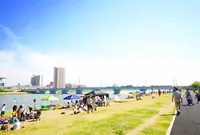 信濃川やすらぎ堤緑地の写真・動画_image_345325