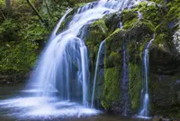 石樋の滝の写真・動画_image_462831