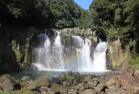 関之尾滝の写真・動画_image_532046