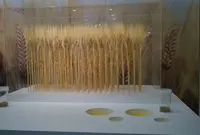 サントリー武蔵野ビール工場の写真・動画_image_21327