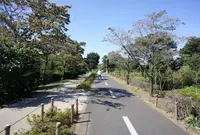 保谷狭山自然公園自転車道の写真・動画_image_166324