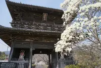 熊谷寺の写真・動画_image_158591