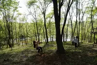 よろこびの森の写真・動画_image_158622