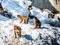 草津熱帯圏の写真_26595