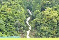 蓮如滝の写真・動画_image_1622929