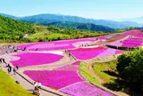 茶臼山高原