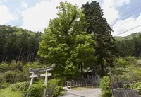稲荷神社の写真・動画_image_435224