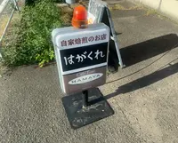 はがくれの写真・動画_image_502406