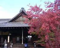 勝林寺の写真・動画_image_83980