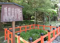 大原野神社の写真・動画_image_76948