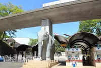 東京都多摩動物公園の写真・動画_image_1344918