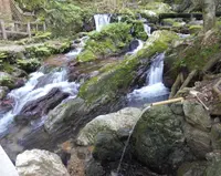 瓜割の滝の写真・動画_image_130863