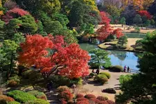 関東民は京都行く前にここ行って 巣鴨 六義園 旧古河庭園 を 時間でゆるてくプラン Holiday ホリデー