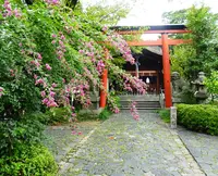 漢国神社の写真・動画_image_195124