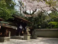 宗像神社の写真・動画_image_71488