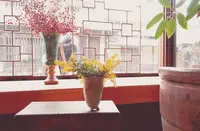 カフェことだまの写真・動画_image_197460