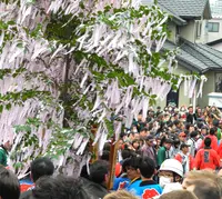 熊野神社の写真・動画_image_27434