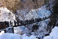 尾ノ内渓谷氷柱の写真・動画_image_296325