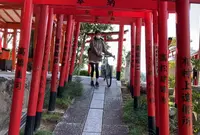 大山稲荷神社の写真・動画_image_1571574