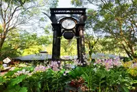 シンガポール植物園の写真・動画_image_485844