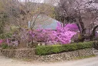 龍珠院の写真・動画_image_71651