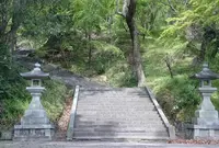 菊池神社の写真・動画_image_71796