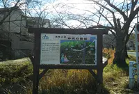 妙見河原の桜の写真・動画_image_1054740