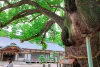 大麻比古神社の写真・動画_image_1176435