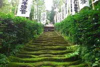 杉本寺の写真・動画_image_154951