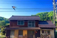 里鳥 〜satori〜の写真・動画_image_175086