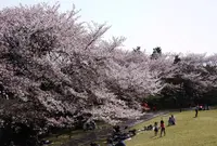 本牧山頂公園の写真・動画_image_311636