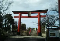 亀戸天神社の写真・動画_image_886713