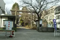 亀戸香取神社の写真・動画_image_886728