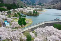 大野ダムの写真・動画_image_908248