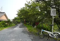 自転車天国の写真・動画_image_21875
