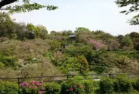 菊池公園の写真・動画_image_174092