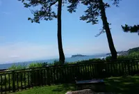 鎌倉海浜公園の写真・動画_image_30999