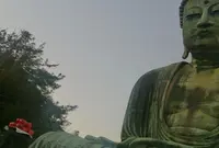 鎌倉大仏（高徳院）の写真・動画_image_124102