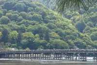 嵐山の写真・動画_image_178476