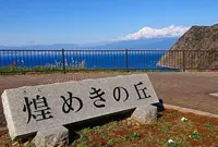 煌めきの丘の写真・動画_image_707155