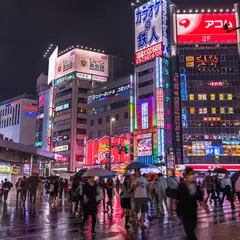 【雨の日東京観光】雨でも満喫できるおすすめ観光スポットをご紹介