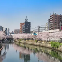 【神奈川観光】2020年3月はここをチェック！ 