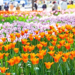【神奈川観光】2020年4月はここをチェック！	