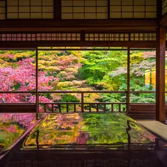 【編集部が厳選】京都で行きたい、お寺と神社