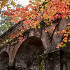 【秋の京都に行くならココ】祗園・東山の秋観光で行きたいおすすめスポットを紹介！