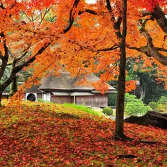 秋の東京を楽しむ！おでかけにぴったりのおすすめプランを紹介