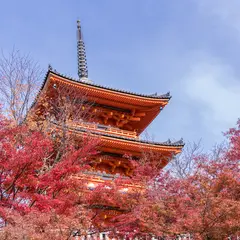 秋の京都を楽しむ！秋のおでかけおすすめプランを紹介