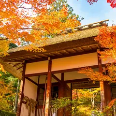 【秋の嵐山・嵯峨野】紅葉を満喫する！おすすめスポットをご紹介！